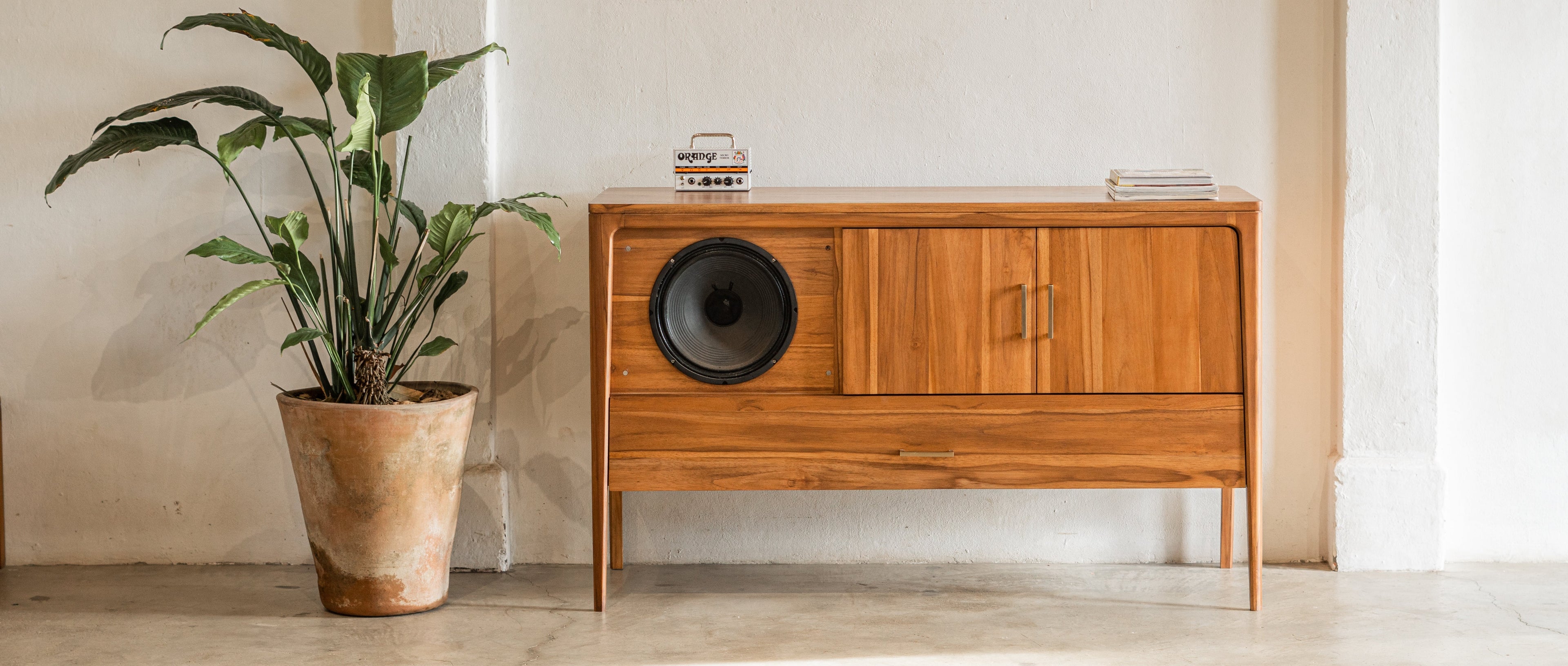 Wooden cabinet with a plant on a light-colored floor against a white wall