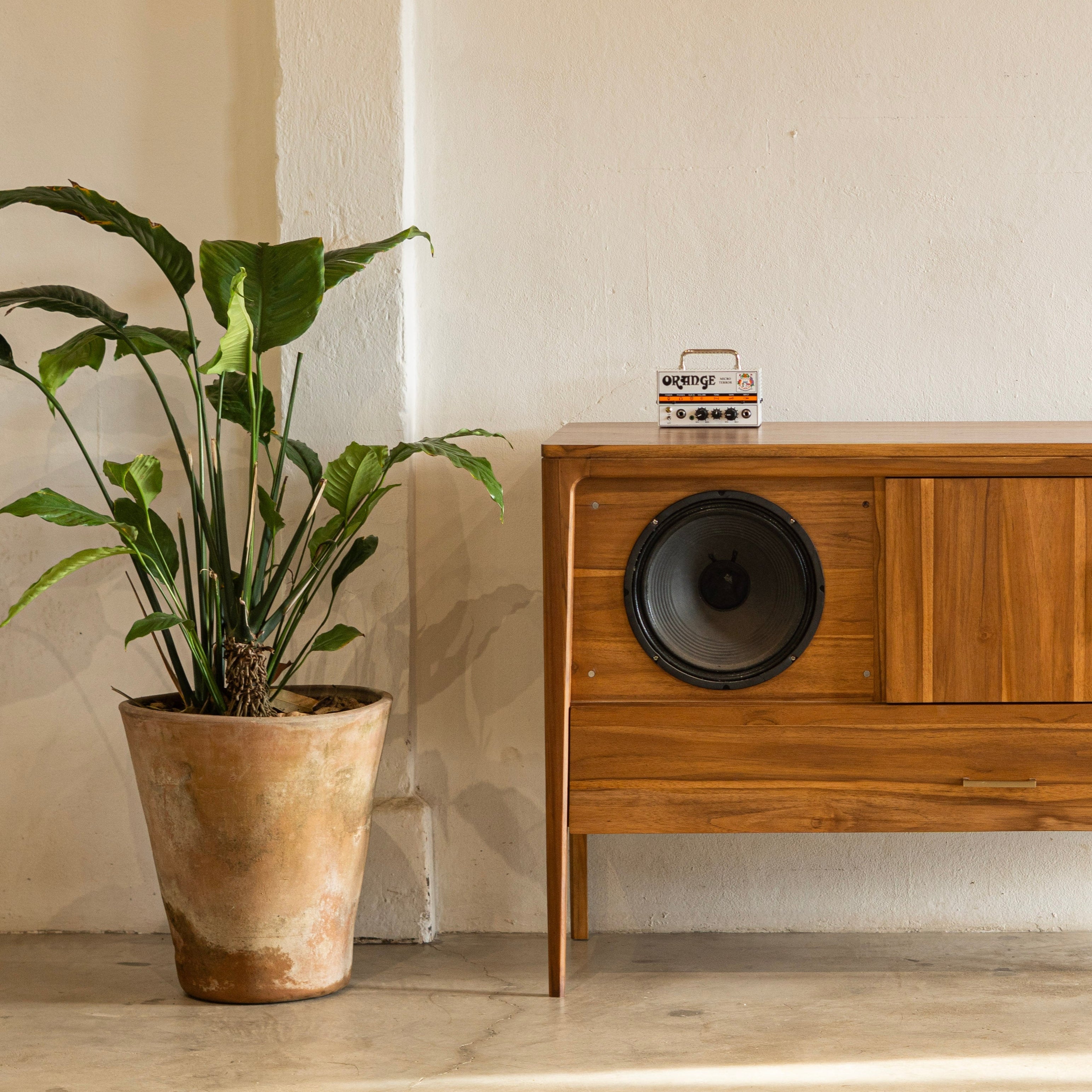 guitar cabinet next to large potted houseplant